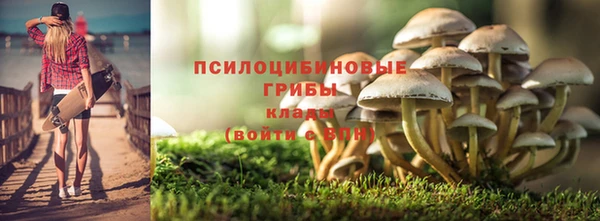 СК Алзамай