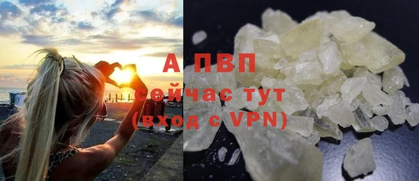 ешки Алексин