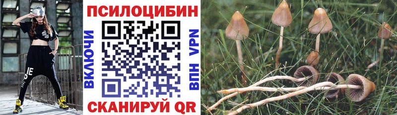 Галлюциногенные грибы Magic Shrooms  Липки 